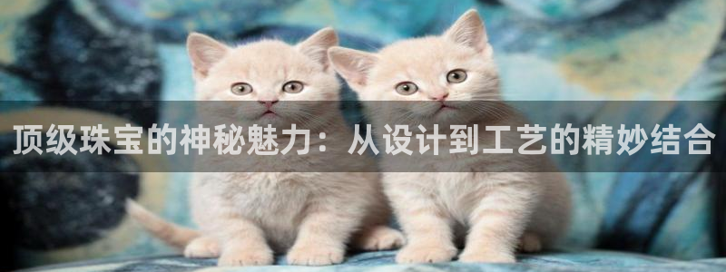 萧山娱乐新航母阿里巴巴