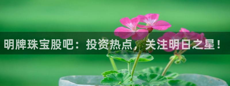 开启娱乐新航线