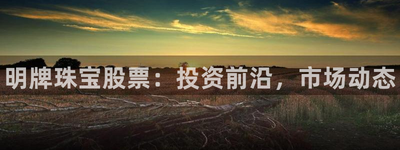 新航佳苑娱乐：明牌珠宝股票：投资前沿，市场动态