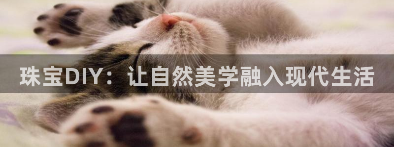 新航娱乐属于什么档次：珠宝DIY：让自然美学融入现代生活