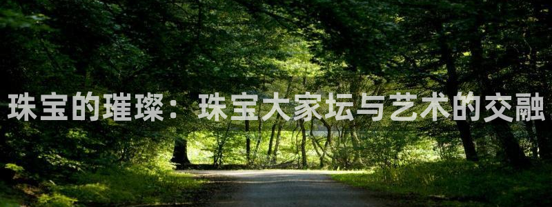 新航文化娱乐传媒怎么样：珠宝的璀璨：珠宝大家坛与艺术的交融