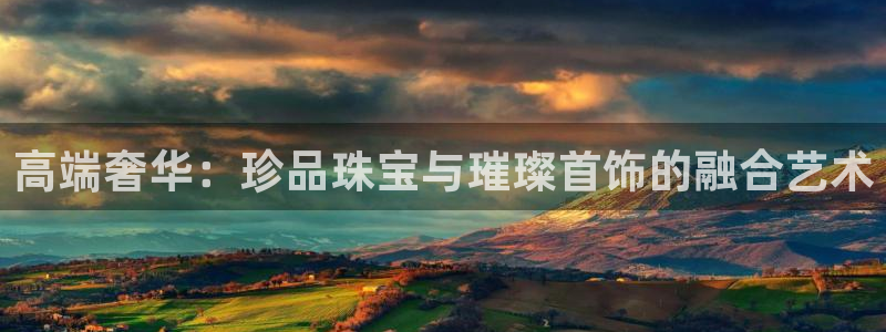 新航娱乐传媒怎么样