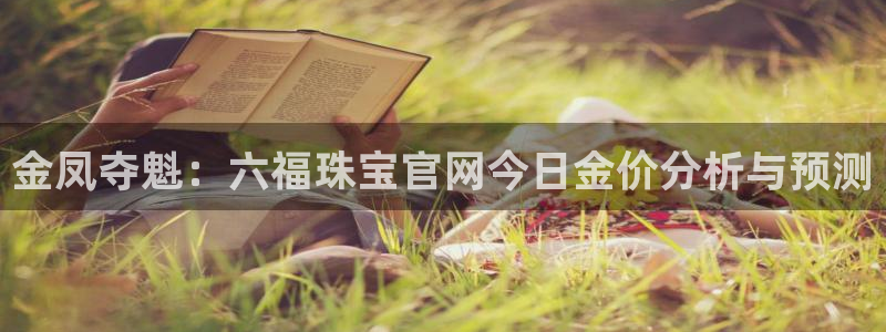 新航娱乐公司问题解决