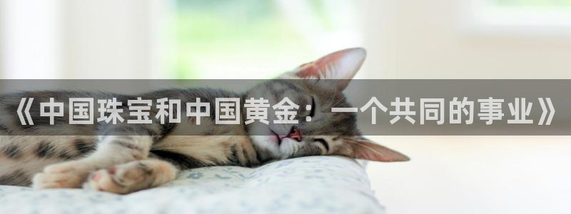 新航机上娱乐
