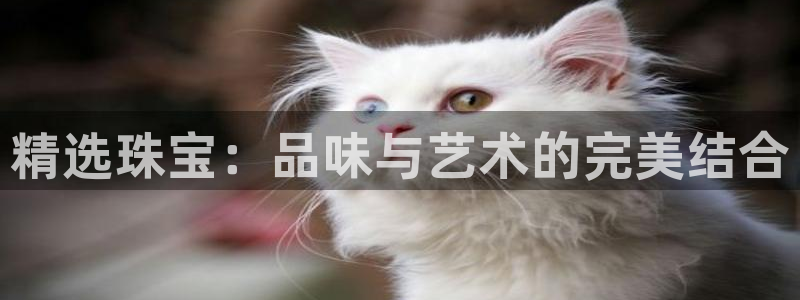 新航娱乐传媒怎么样啊：精选珠宝：品味与艺术的完美结合