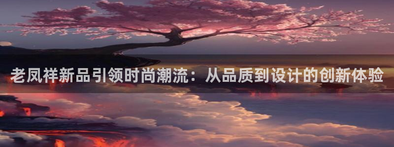 新航娱乐有限公司怎么样