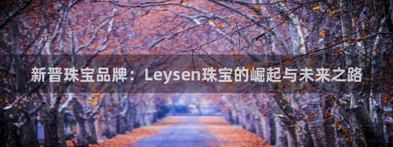 金城娱乐新航母