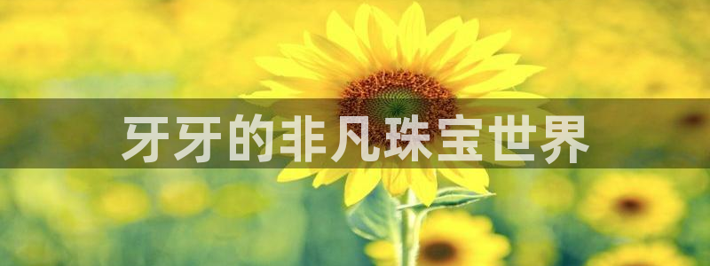 新航娱乐公司地址查询：牙牙的非凡珠宝世界