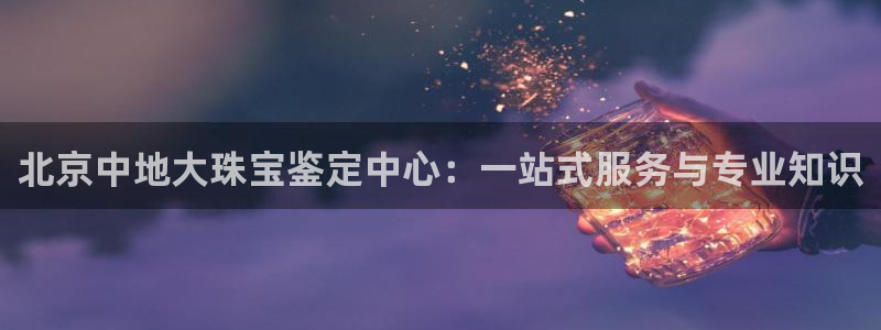 新航娱乐入新航娱乐怎么样：北京中地大珠宝鉴定中心：一站式服务