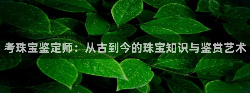新航娱乐传媒怎么样：考珠宝鉴定师：从古到今的珠宝知识与鉴赏艺