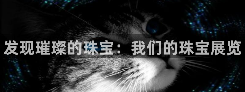 新航娱乐公司艺人招聘