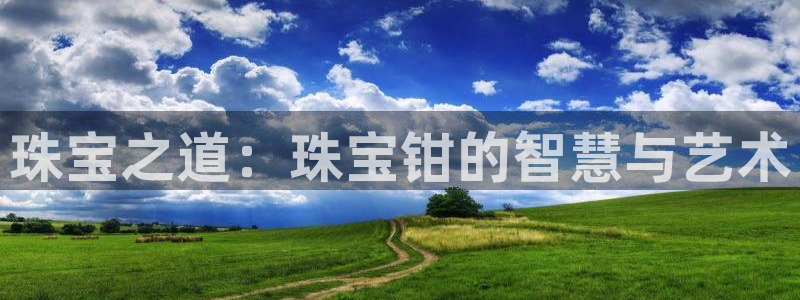 娱乐搞笑新航线：珠宝之道：珠宝钳的智慧与艺术