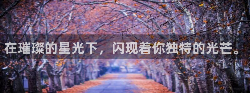 新航娱乐官方网站登录：在璀璨的星光下，闪现着你独特的光芒。
