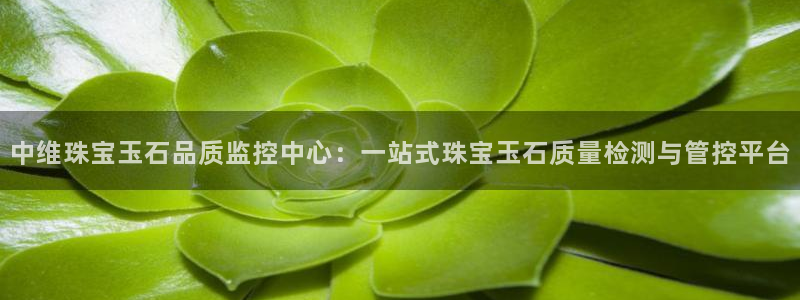 新航娱乐登录注册：中维珠宝玉石品质监控中心：一站式珠宝玉石质