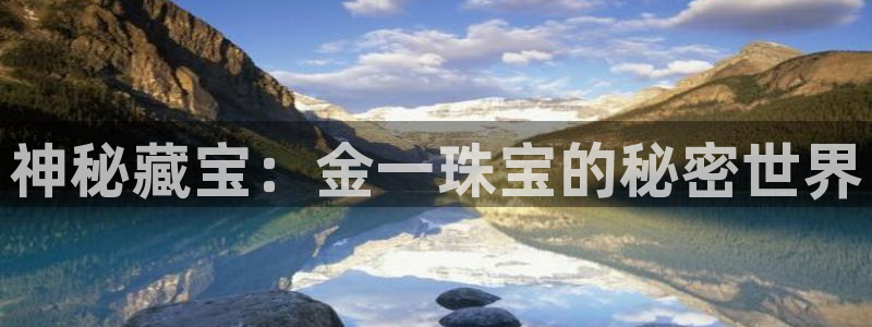 新航娱乐传媒怎么样