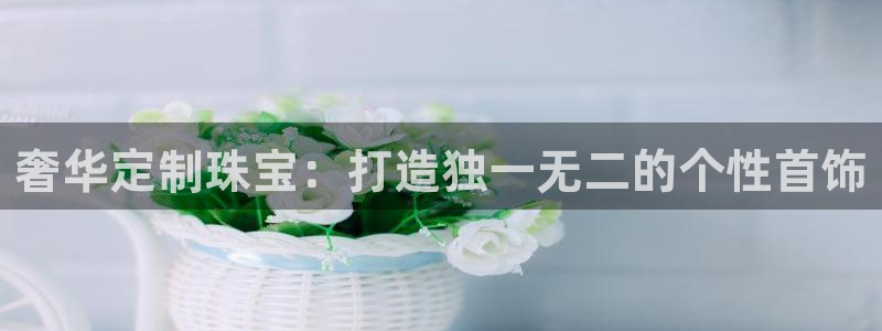新航娱乐入网要求
