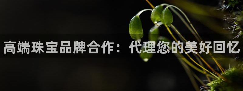 新航娱乐公司简介资料：高端珠宝品牌合作：代理您的美好回忆