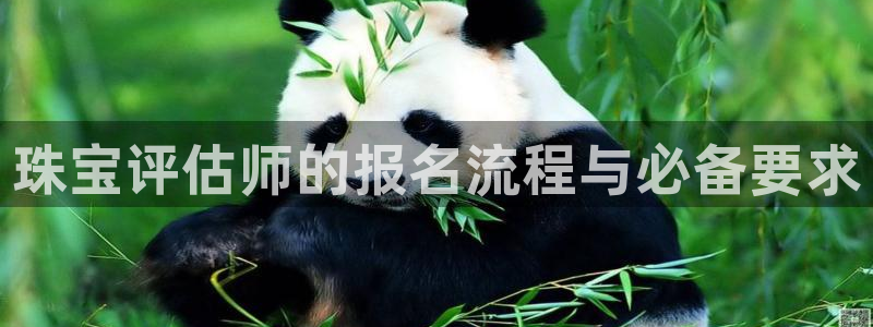 新航娱乐传媒招聘电话：珠宝评估师的报名流程与必备要求