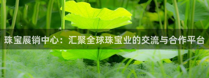 中国证券新航娱乐官网