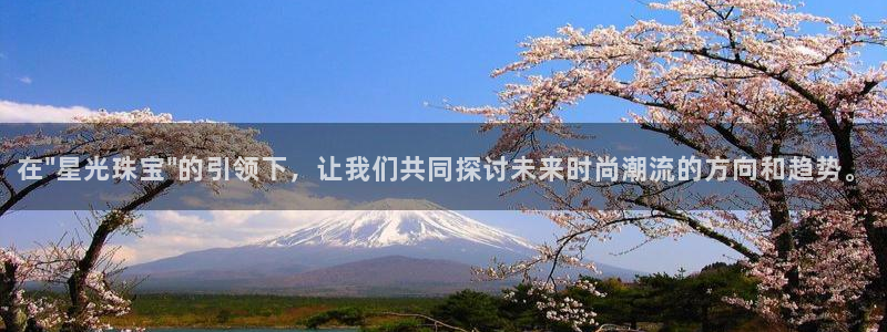 新航娱乐传媒招聘信息网