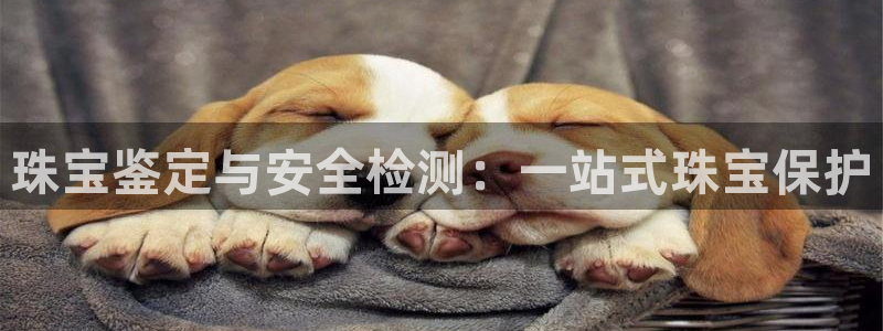 新航海娱乐会所电话地址