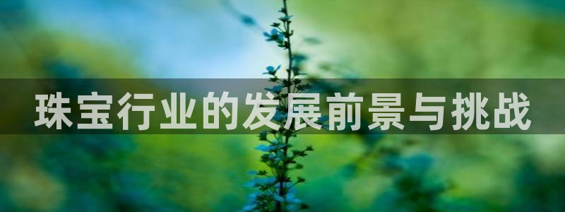 新航娱乐主管是谁：珠宝行业的发展前景与挑战
