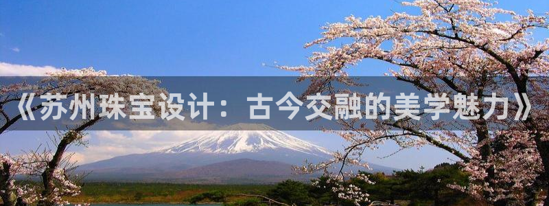 新航娱乐公司旗下艺人：《苏州珠宝设计：古今交融的美学魅力》