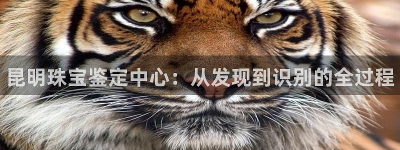 武汉中创新航娱乐室：昆明珠宝鉴定中心：从发现到识别的全过程