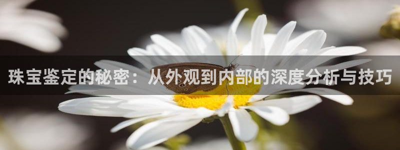 新航娱乐公司艺人