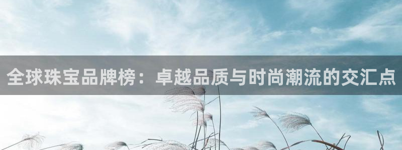 新航娱乐公司问题