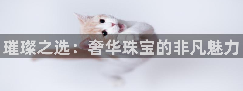 新航娱乐官网地址