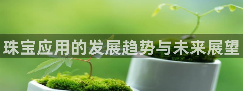 新航娱乐传媒招聘信息网：珠宝应用的发展趋势与未来展望