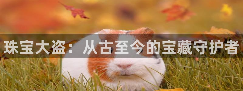 新航海娱乐会所电话：珠宝大盗：从古至今的宝藏守护者