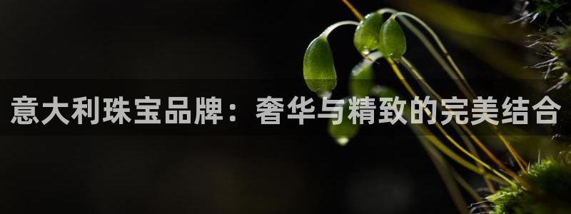 新航娱乐登陆