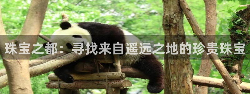 新航娱乐登录注册