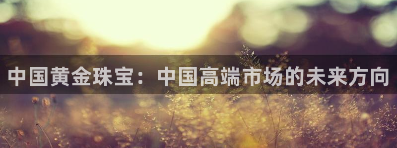 新航线娱乐会所：中国黄金珠宝：中国高端市场的未来方向