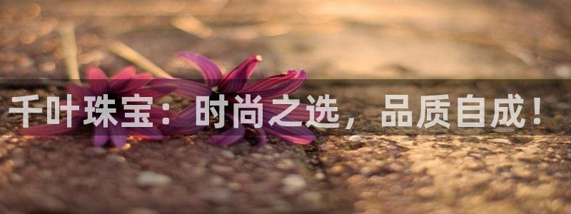 新航飞机椅背娱乐设备：千叶珠宝：时尚之选，品质自成！