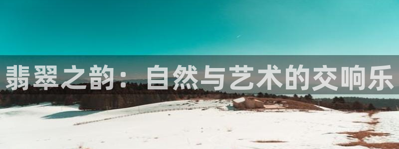 新航娱乐管理有限公司