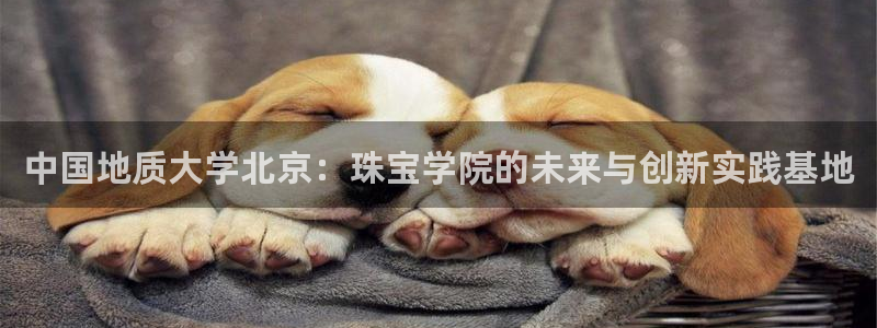 新航海娱乐会所电话地址