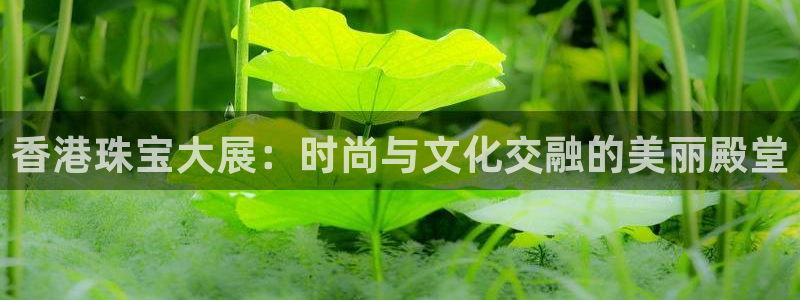 新航娱乐平台注册