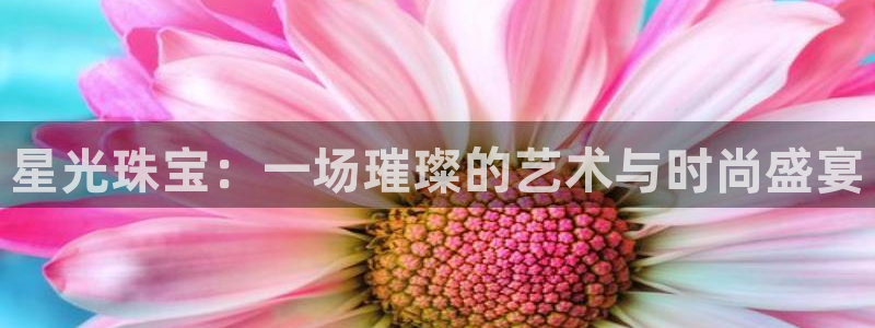 新航娱乐公司地址