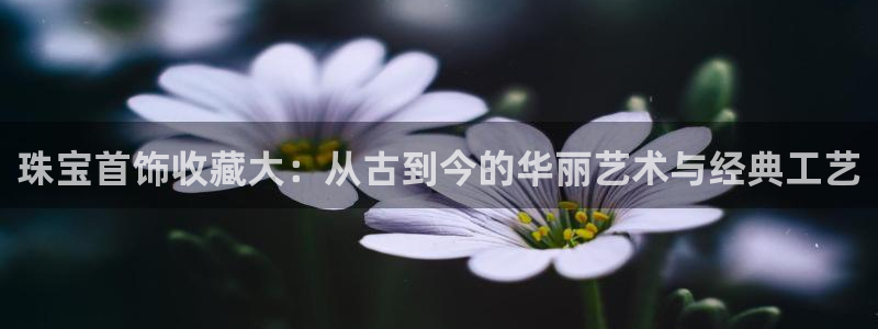 萧山娱乐新航母阿里巴巴