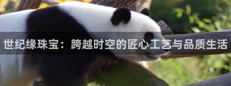 娱乐搞笑新航线