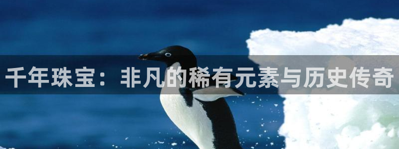 新航娱乐公司艺人招聘
