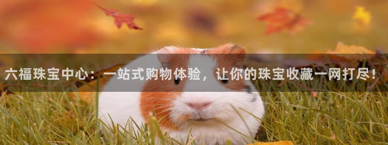 新航文化娱乐传媒怎么样