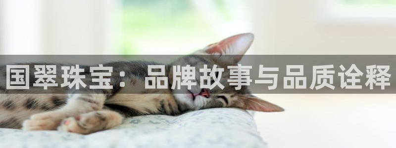 新航娱乐app官方下载：国翠珠宝：品牌故事与品质诠释