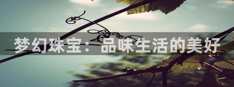 新航娱乐官网登录：梦幻珠宝：品味生活的美好