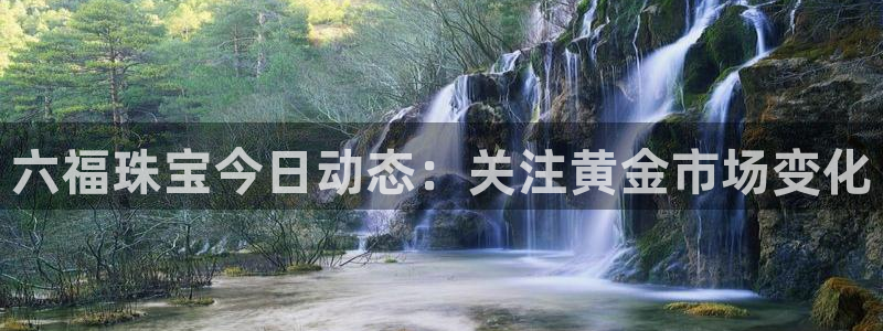 新航娱乐公司地址在哪里