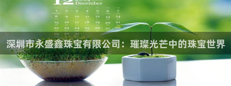 成都中创新航娱乐区：深圳市永盛鑫珠宝有限公司：璀璨光芒中的珠