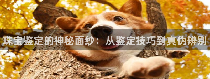 高州市新航线娱乐俱乐部：珠宝鉴定的神秘面纱：从鉴定技巧到真伪